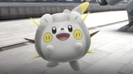 Togedemaru's appearance belies its battle capability in Pokemon GO (Image via Niantic)